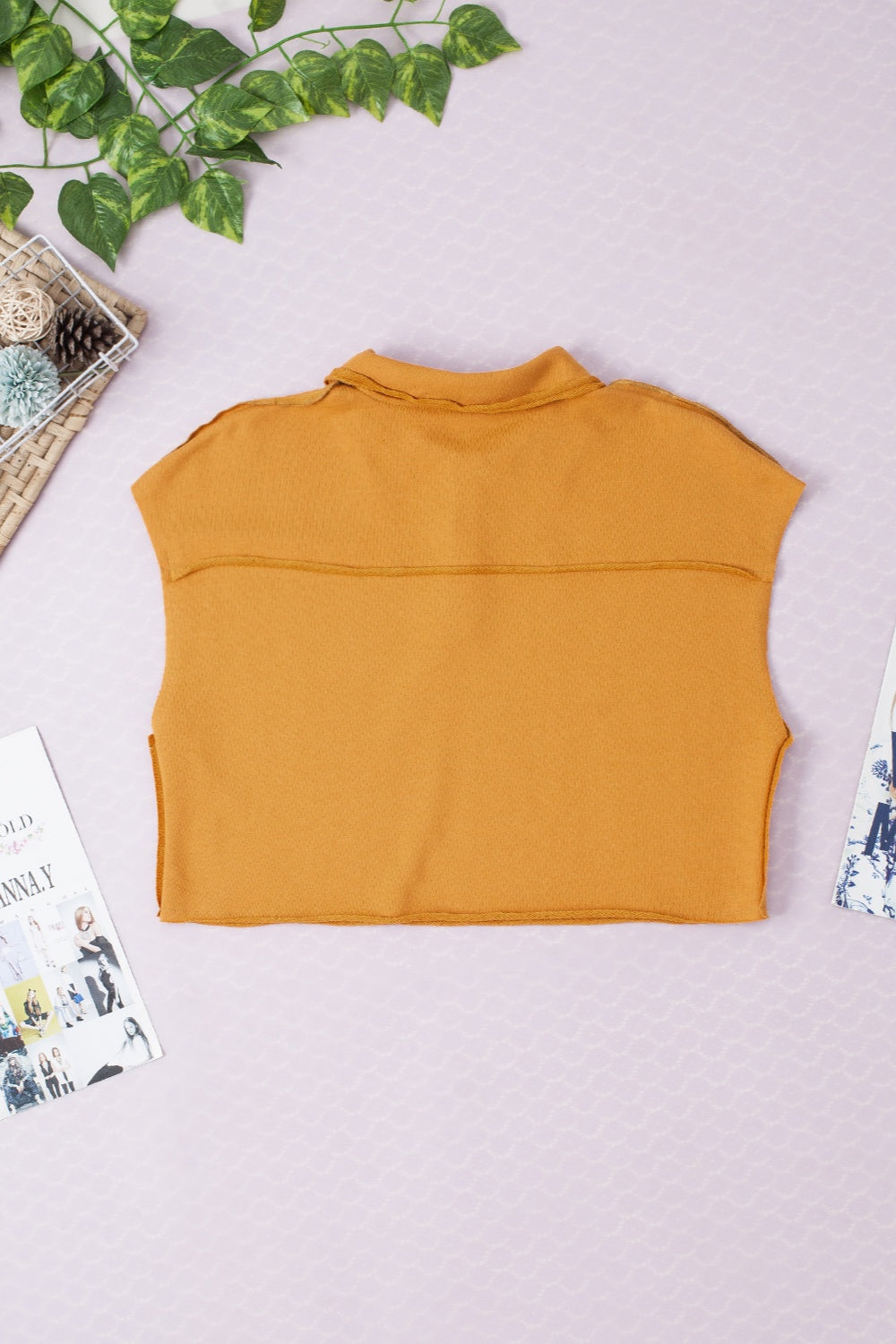 Plain Jane Collared Neck Cap Sleeve Crop Tee