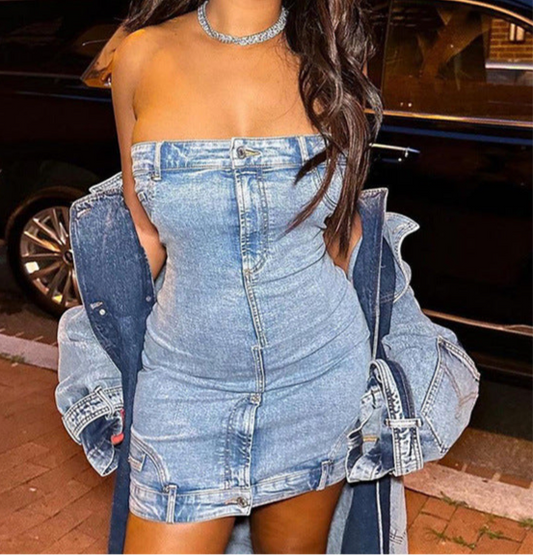 Saturday Nights Slim Waist Tube Denim Dress