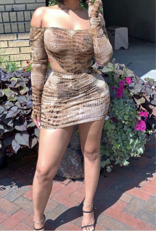 Biggest Crush Snake Print Bodysuit Skirt Set