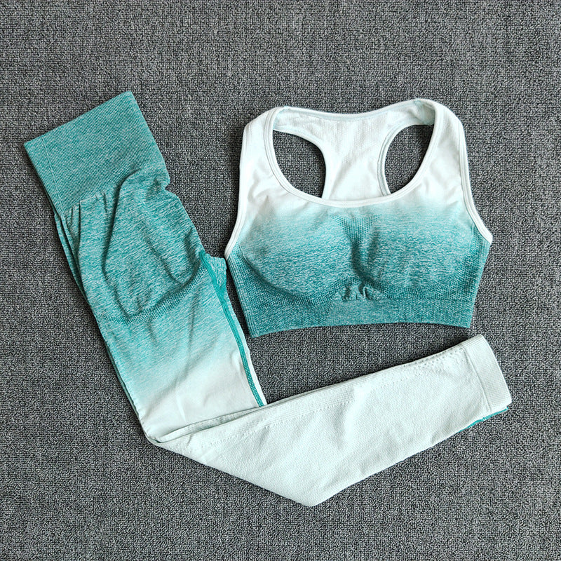 Gradient Nylon Seamless Yoga Sports Bra Set